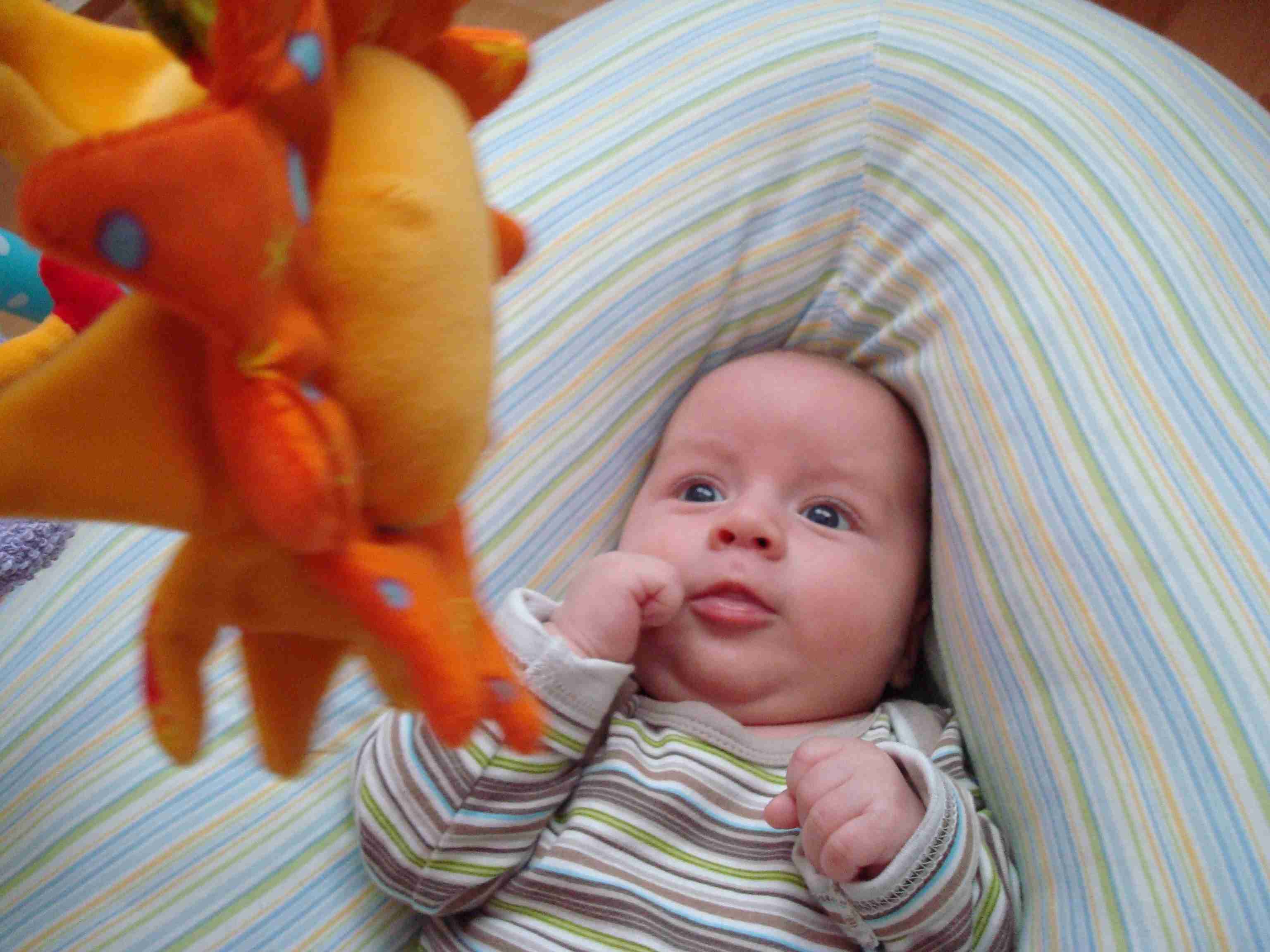 090904_adam_015.JPG