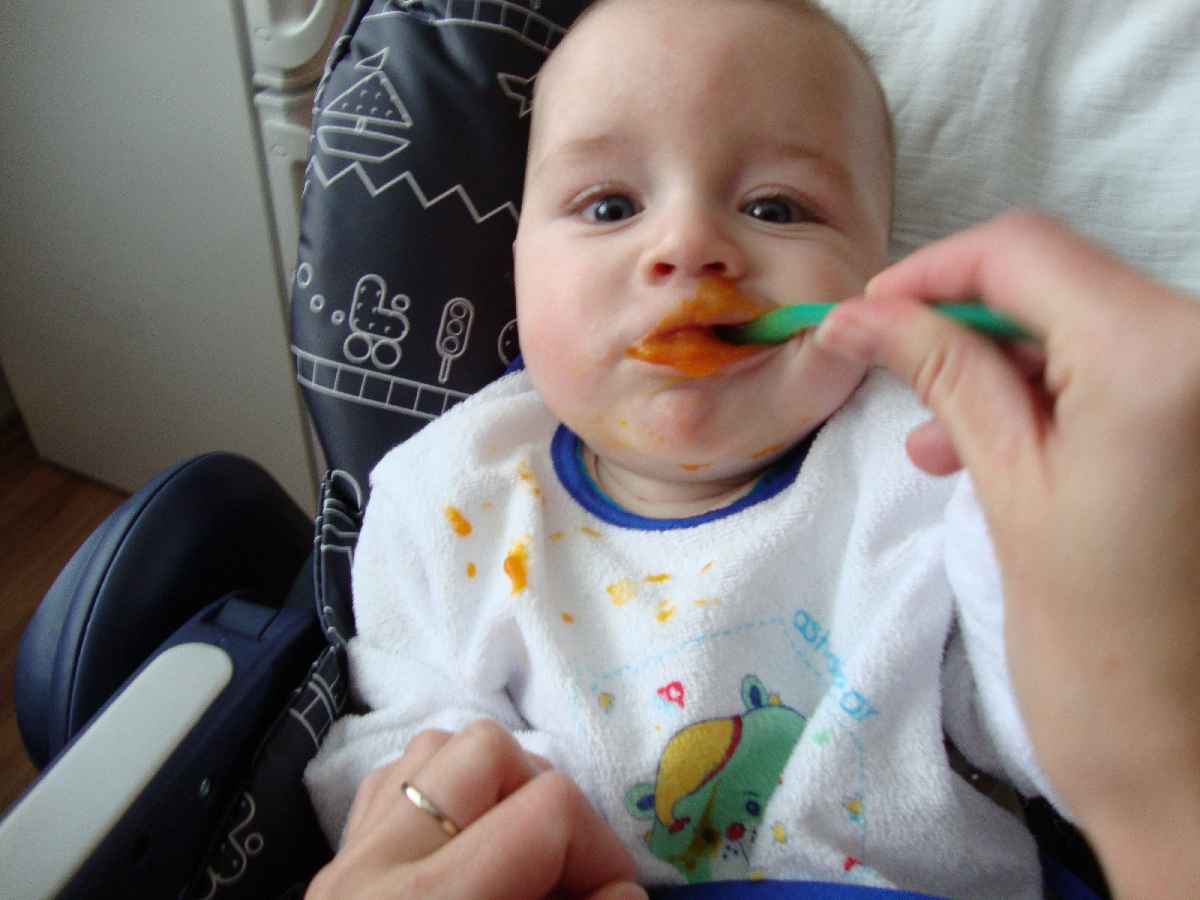 091212_adam_026.JPG