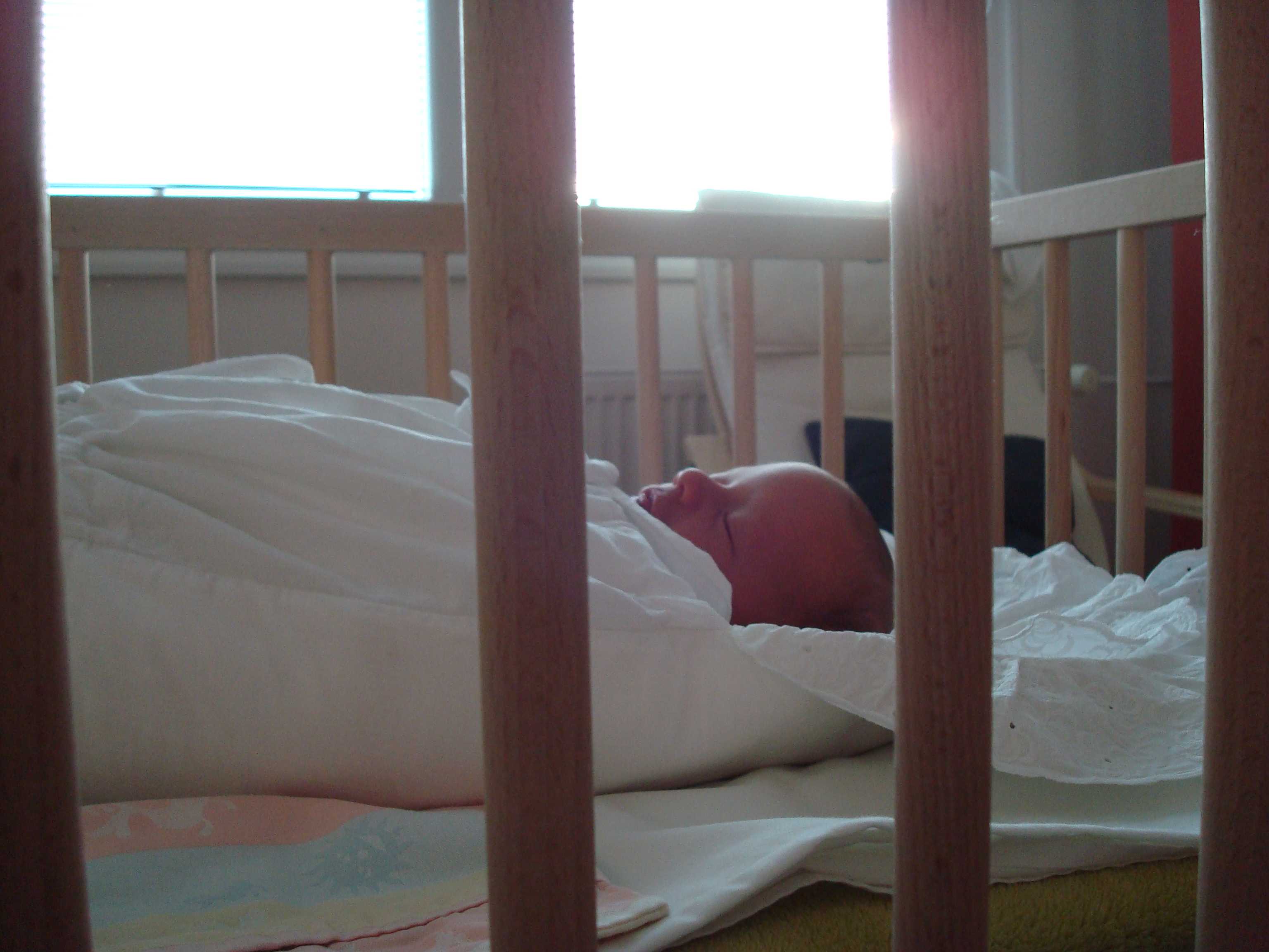 090709_doma_008.JPG