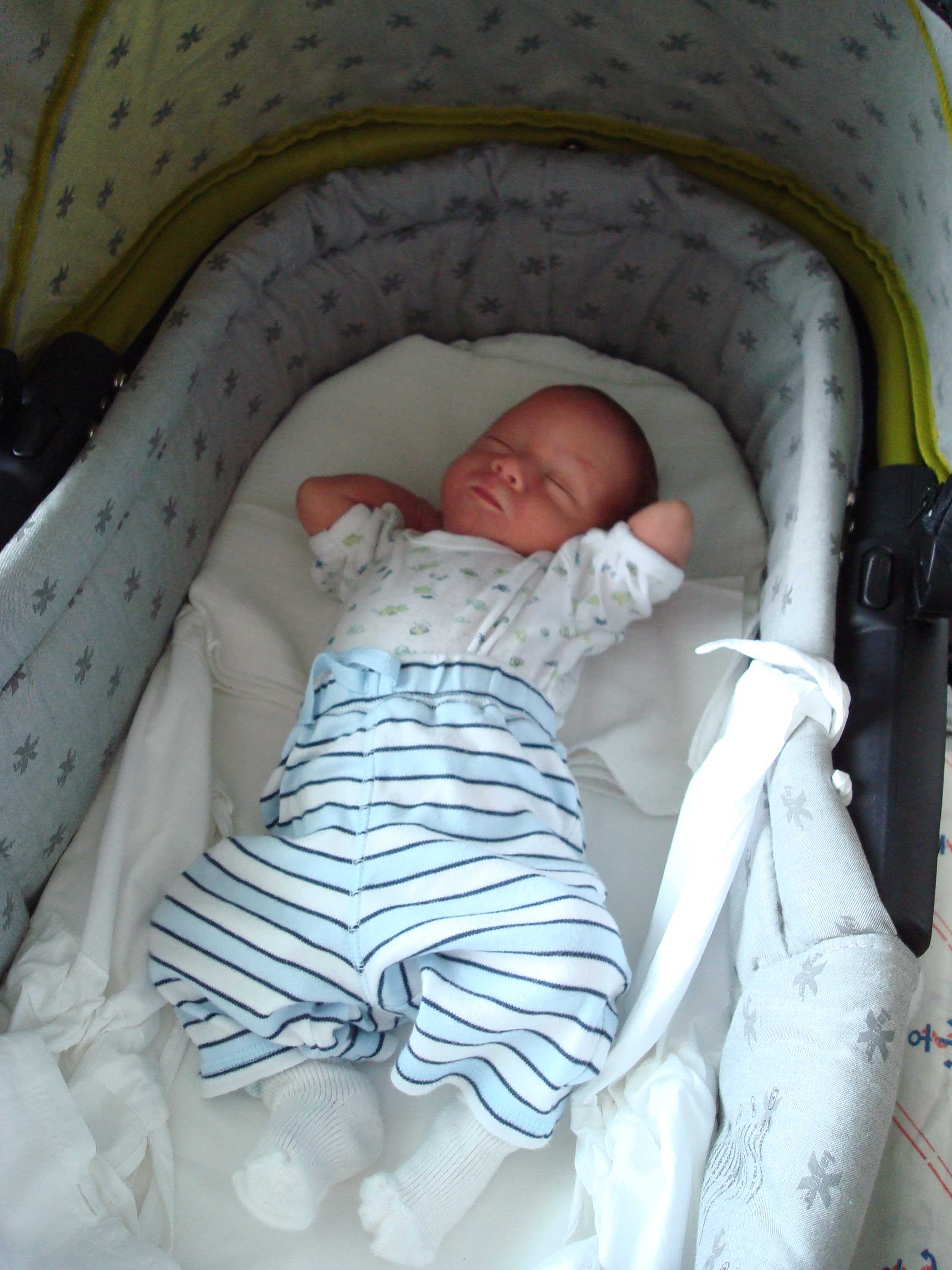 090716_adam_009_2.jpg